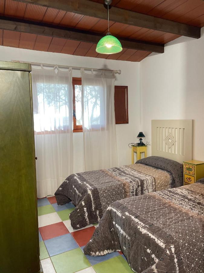 Allotjament Rural Illa De Mar Deltebre Dış mekan fotoğraf