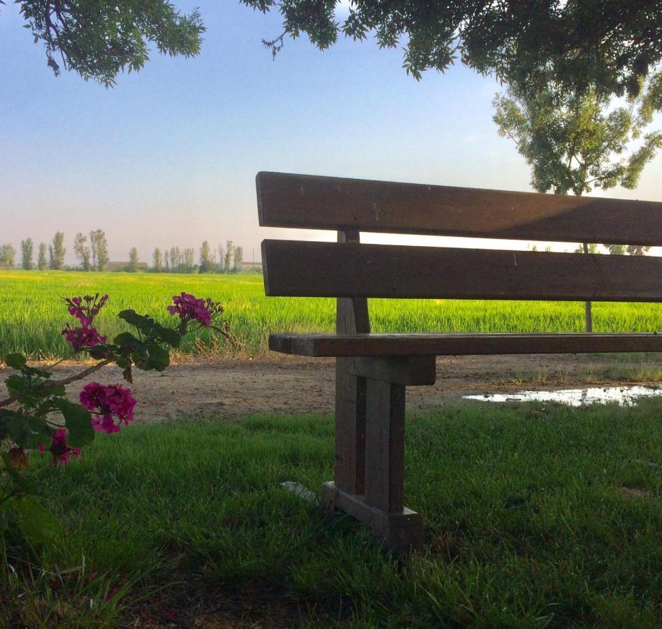 Allotjament Rural Illa De Mar Deltebre Dış mekan fotoğraf
