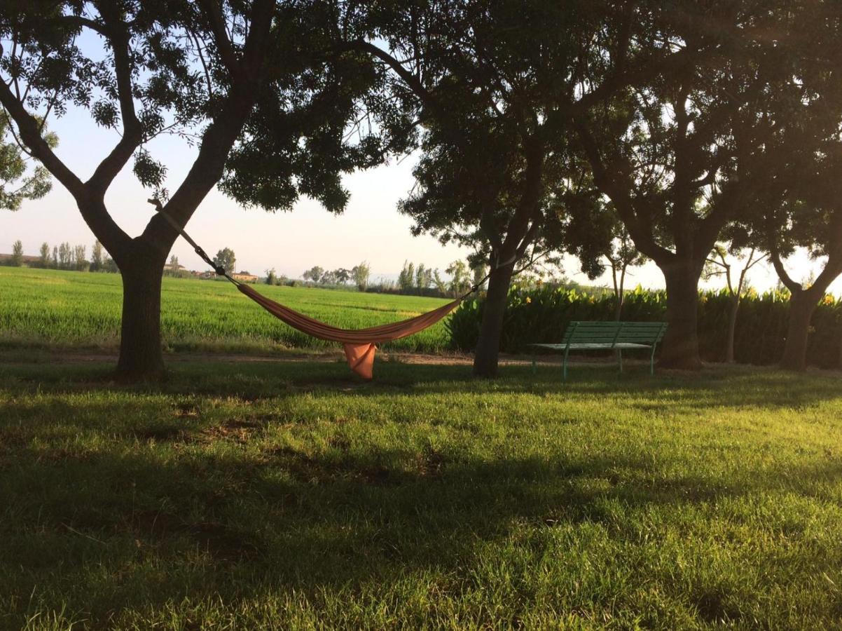 Allotjament Rural Illa De Mar Deltebre Dış mekan fotoğraf